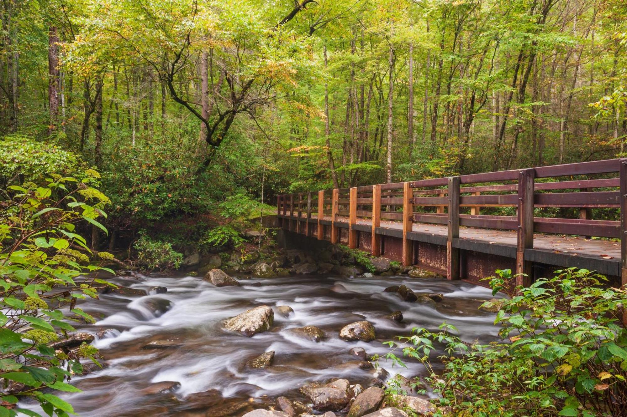 A Happy Cottage- Get 951 Worth Of Free Area Attraction Tickets For Each Paid Day! Pigeon Forge Eksteriør billede